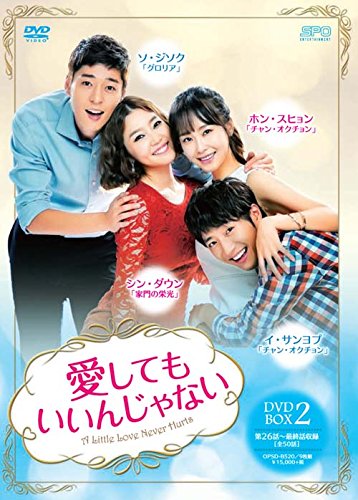愛してもいいんじゃない DVD-BOX2(9枚組)(中古品)