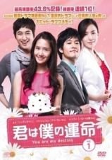君は僕の運命　[レンタル落ち] (全36巻) [マーケットプレイスDVDセット商品(中古品)