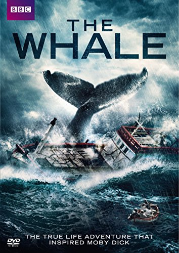 WHALE(中古品)の通販は 7,941円