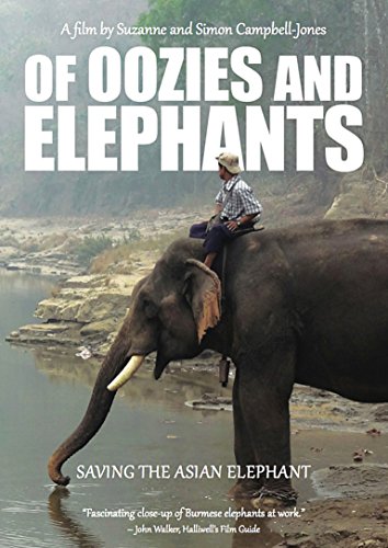 Of Oozies &amp; Elephants [DVD](中古品)