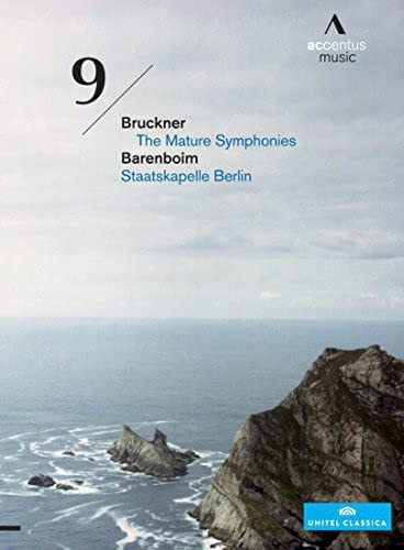 Symphony No. 9 [DVD](中古品)