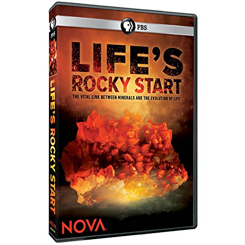 Nova: Life's Rocky Start [DVD] [Import](中古品) 8,324円