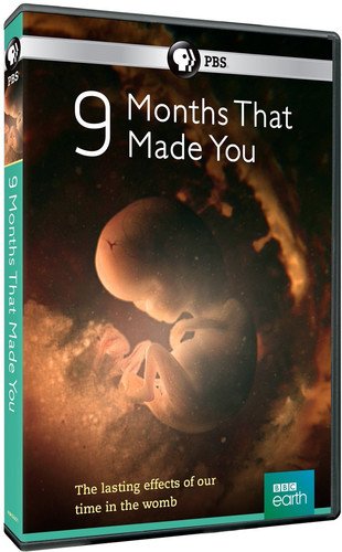 9 Months That Made You [DVD] [Import](中古品)