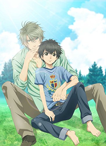 SUPER LOVERS 第5巻 限定版 [DVD](中古品)