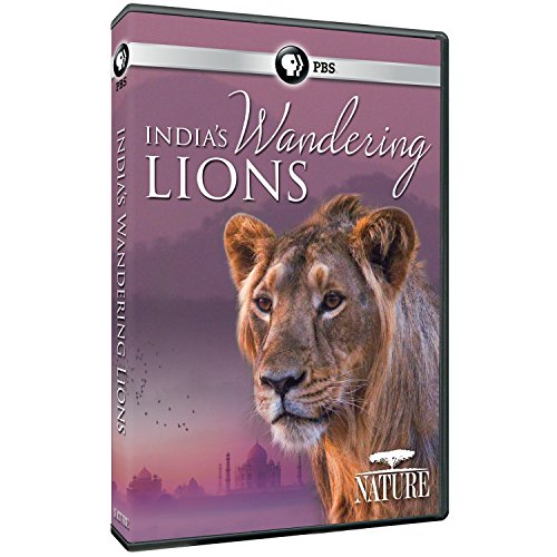 Nature: India's Wandering Lions [DVD] [Import](中古品)