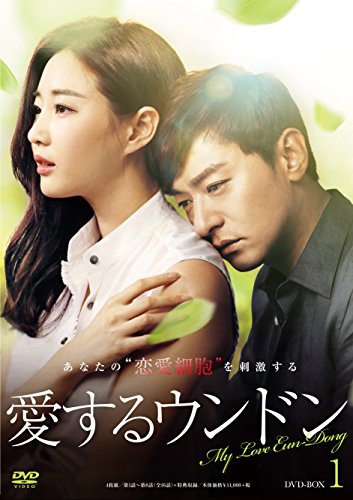 愛するウンドン DVD-BOX1(中古品)