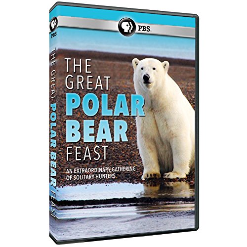 Great Polar Bear Feast [DVD] [Import](中古品)の通販は