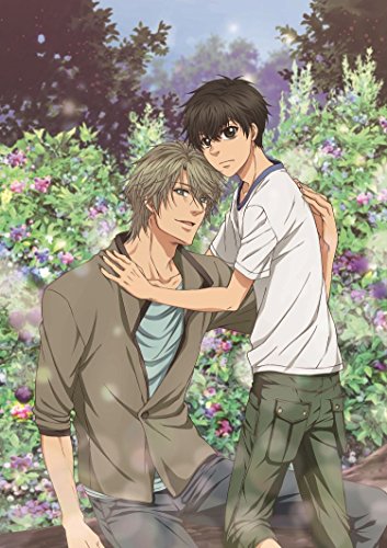 SUPER LOVERS 2第5巻限定版 [Blu-ray](中古品)