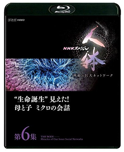 NHKスペシャル 人体 神秘の巨大ネットワーク 第6集 “生命誕生"見えた! 母 (中古品)