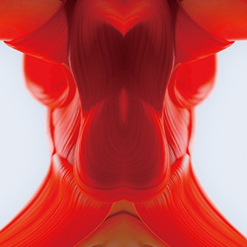 Don't miss it!! (初回生産限定盤B)(CDS+DVD)(中古品)の通販はその他映像DVD・Blu-ray