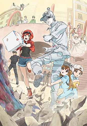 はたらく細胞 7(完全生産限定版) [DVD](中古品)