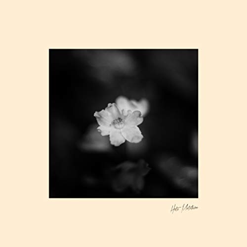 花[Analog](中古品)