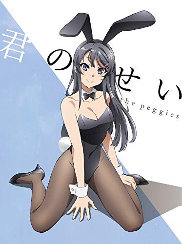 君のせい(期間生産限定アニメ盤)(DVD付)(中古品)