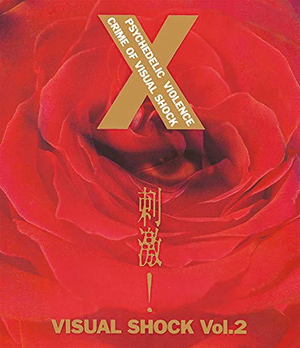 揺りうごかす! VISUAL SHOCK Vol.2 [Blu-ray](中古品)
