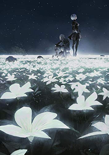 NieR Orchestra Concert 12018(特典なし) [Blu-ray](中古品)