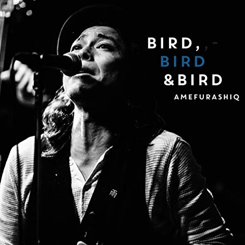 BIRD BIRD & BIRD(中古品)