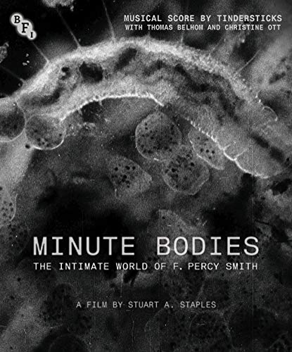 Minute Bodies [Blu-ray](中古品)