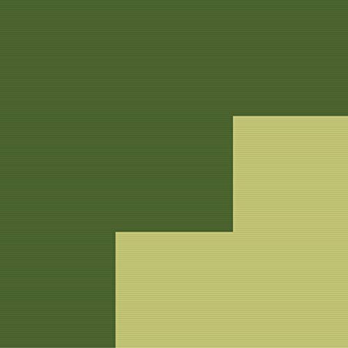 2045survivor(中古品)