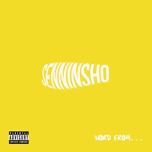 Word From... [Analog](中古品)の通販は 11,314円