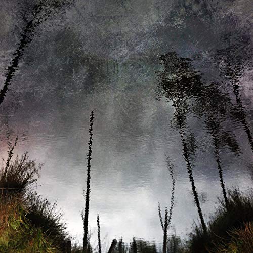 Ghost Woods [WPMC060](中古品)