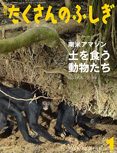 南米アマゾン 土を食う動物たち (月刊たくさんのふしぎ2020年1月号)(中古品)