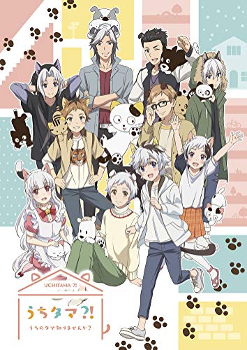 うちタマ?! ~うちのタマ知りませんか?~6(完全生産限定版) [DVD](中古品)