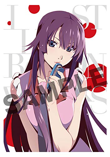 【新品未開封】 物語シリーズ Illustration Works 特典付き アニメ〈物語〉シリーズ 10th Anniversary Illustration Works