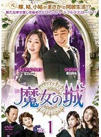 魔女の城 全40巻セット【レンタル落ち】(中古品)