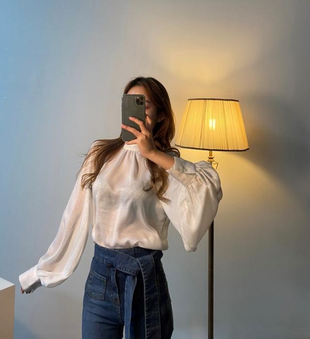 トップス ブラウス 袖あり 長袖 ボリューム袖 ハイネック 襟なし