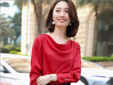 きれいめ 上品 ドレープ ブラウス トップス プルオーバー 袖あり 長袖