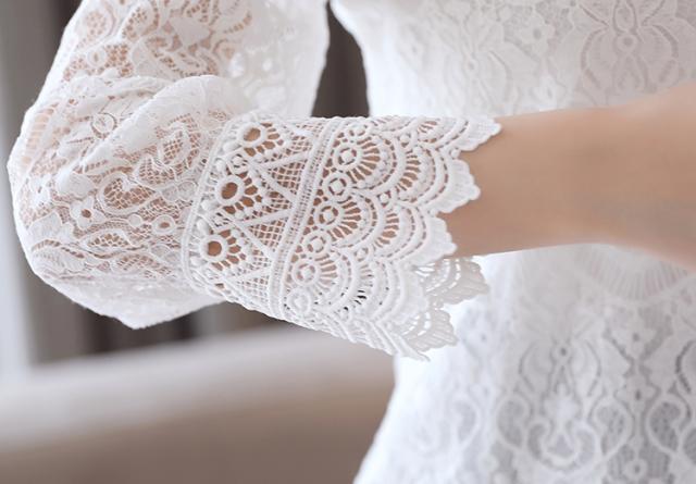 総レース レディ トップス ブラウス 袖あり 長袖 ハイネック レース