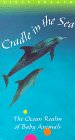 First Breath: Cradle [VHS](中古品)