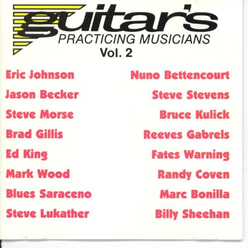 Guitar's Practicing Musicians Vol. 2【中古】(未使用･未開封品)