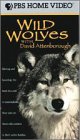 Wild Wolves [VHS]【中古】(未使用･未開封品)