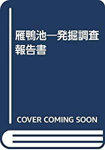 雁鴨池—発掘調査報告書(中古品)