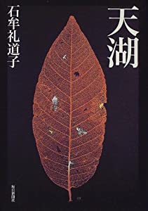 天湖(中古品)