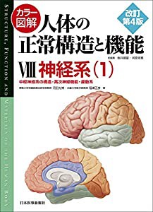 カラー図解 人体の正常構造と機能〈8〉神経系(1)【改訂第4版】(中古品)