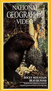 Nat'l Geo: Rocky Mountain Beaver Pond [VHS](中古品)