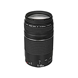 Canon EFレンズ EF75-300mm F4-5.6 IIIズームレンズ 望遠 並行輸入品(中古品)