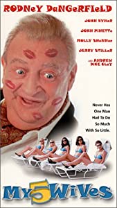 My 5 Wives [VHS](中古品)