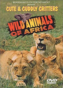 Cute &amp; Cuddly Critters: Wild Animals Africa [DVD](中古品)