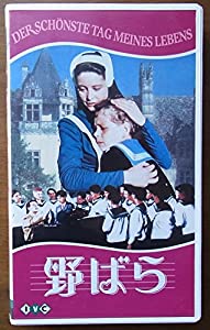 野ばら [VHS](中古品)