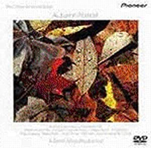 ウインダム・ヒル〜オータム・ポートレート〜 [DVD](中古品)