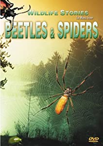 Beetles &amp; Spiders [DVD](中古品)