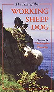 The Year Of The Working Sheepdog [VHS](中古品)