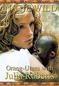 In the Wild [DVD](中古品)