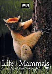 Life of Mammals 3 [DVD](中古品)