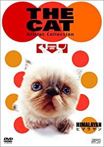 THE CAT ~ヒマラヤン~ [DVD](中古品)