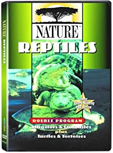 Retilesalligator [DVD](中古品)