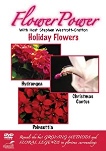 Flower Power: Holiday Flowers [DVD](中古品)